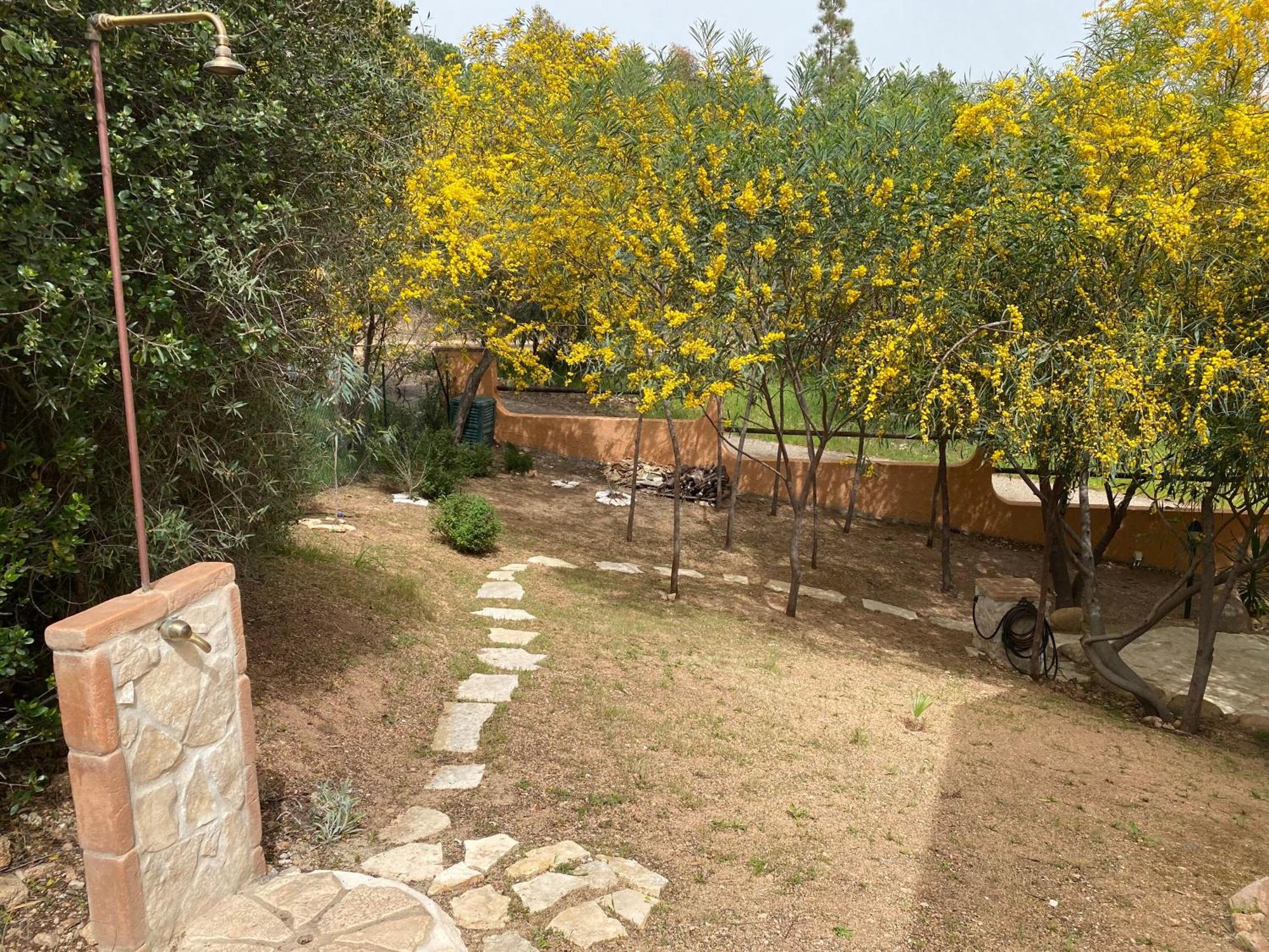 Ferienhaus Residenza I Ginepri Domus De Maria